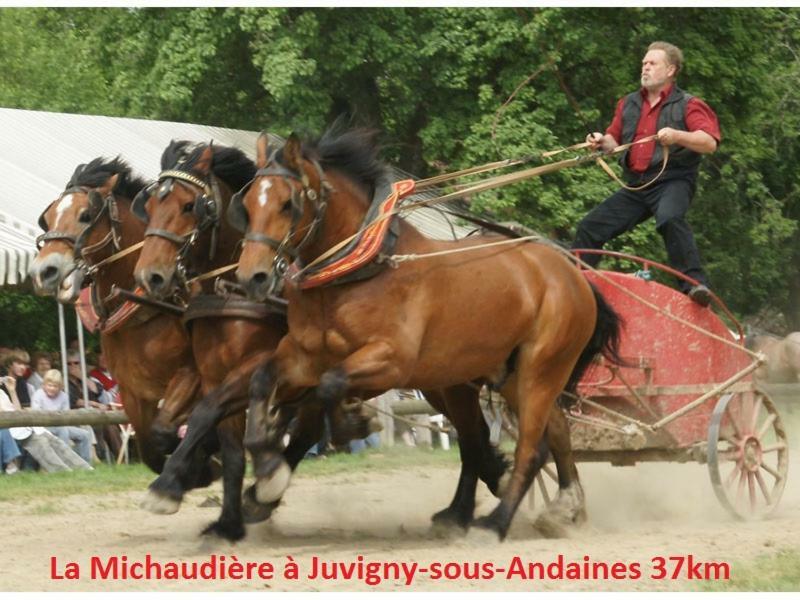 Bed and Breakfast Haras De La Croix D'Argent Saint-Sauveur-de-Carrouges Zewnętrze zdjęcie