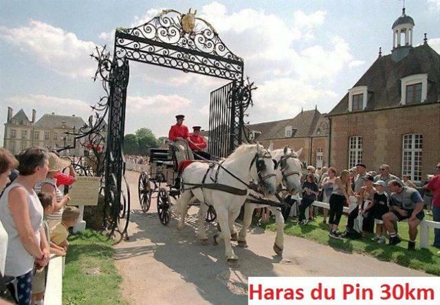 Bed and Breakfast Haras De La Croix D'Argent Saint-Sauveur-de-Carrouges Zewnętrze zdjęcie